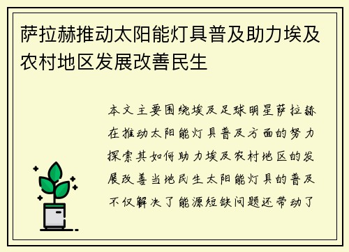 萨拉赫推动太阳能灯具普及助力埃及农村地区发展改善民生