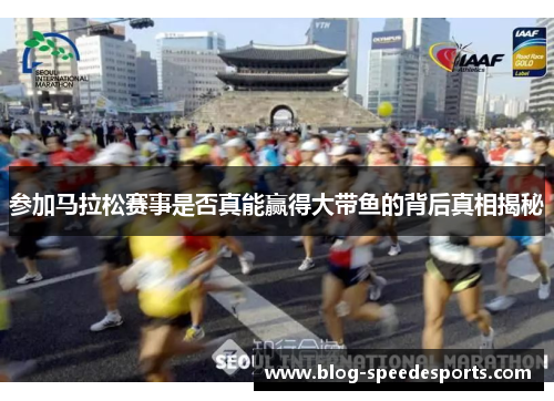 参加马拉松赛事是否真能赢得大带鱼的背后真相揭秘