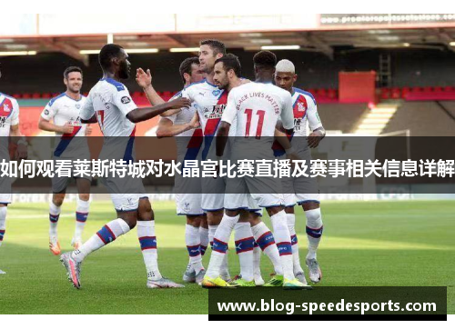 如何观看莱斯特城对水晶宫比赛直播及赛事相关信息详解