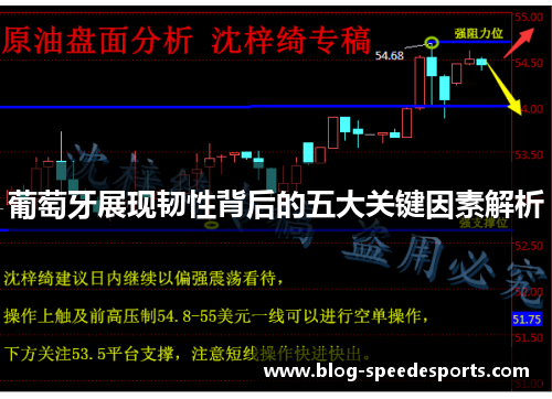 葡萄牙展现韧性背后的五大关键因素解析