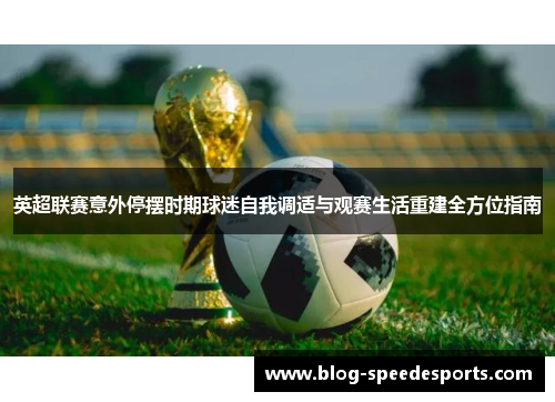 英超联赛意外停摆时期球迷自我调适与观赛生活重建全方位指南