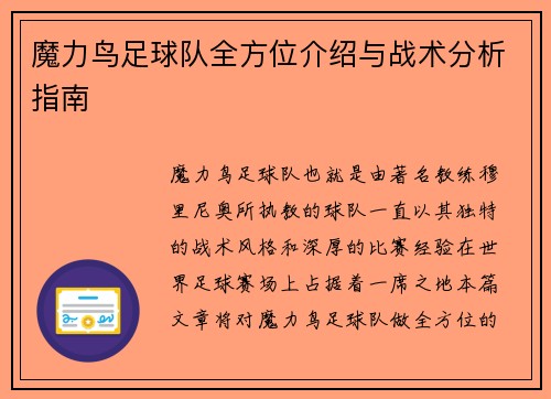 魔力鸟足球队全方位介绍与战术分析指南